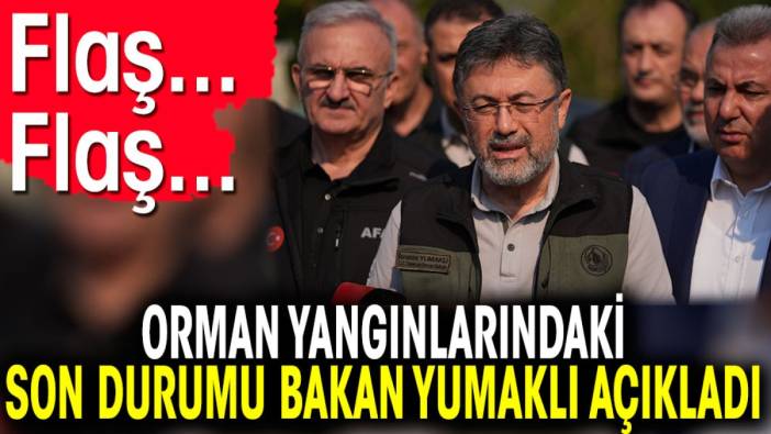 Orman yangınlarındaki son durumu Bakan Yumaklı açıkladı