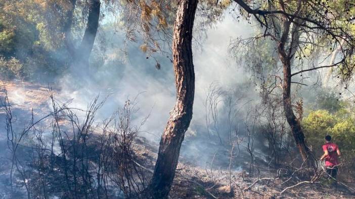 Antalya'da çıkan orman yangını kontrol altına alındı