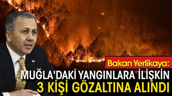 Bakan Yerlikaya: Muğla'daki yangınlara ilişkin 3 kişi gözaltına alındı