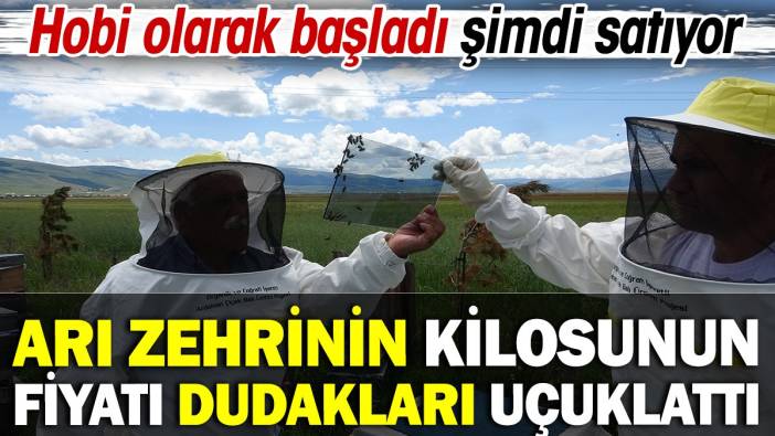 Arı zehrinin fiyatı dudak uçuklattı! Hobi olarak başladı şimdi satıyor