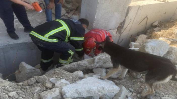 Yavruları kurtarılana kadar başlarından ayrılmayan anne köpek