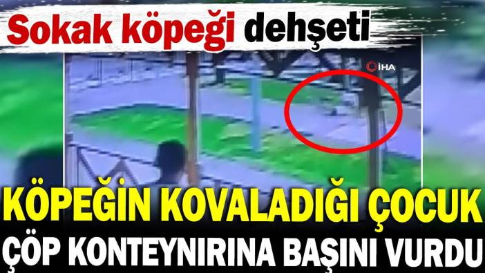 Sokak köpeği dehşeti: Köpeğin kovaladığı çocuk başını çöp konteynırına vurdu