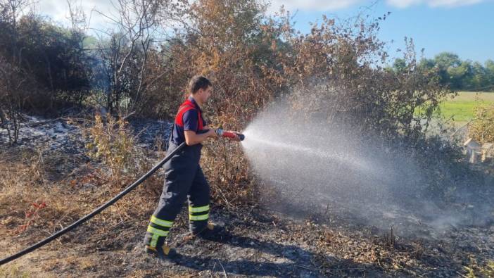 Sinop'ta otların yakılması paniğe neden oldu