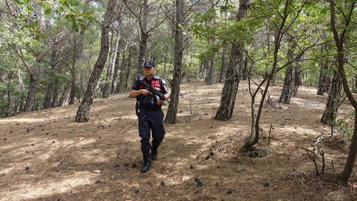 Kazdağları Milli Parkı'na girişler yasaklandı! 31 Ekim'e kadar kapalı