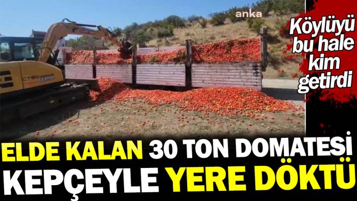 Elde kalan 30 ton domatesi kepçeyle yere döktü. Köylüyü bu hale kim getirdi