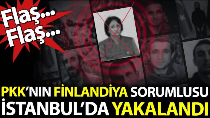 PKK'nın sözde Finlandiya sorumlusu İstanbul'da yakalandı