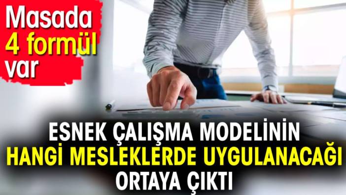 Esnek çalışma modelinin hangi mesleklerde uygulanacağı ortaya çıktı. Masada 4 formül var