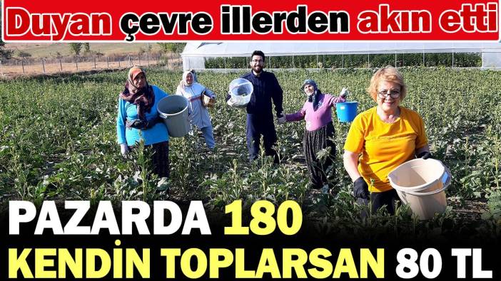 Pazarda 180, kendin toplarsan 80 lira! Duyan çevre illerden akın etti