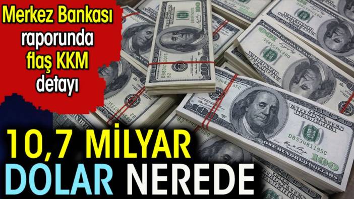 10,7 Milyar dolar nerede. Merkez Bankası raporunda flaş KKM detayı