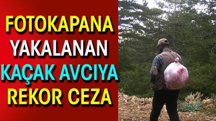 Fotokapana yakalanan kaçak avcıya rekor ceza