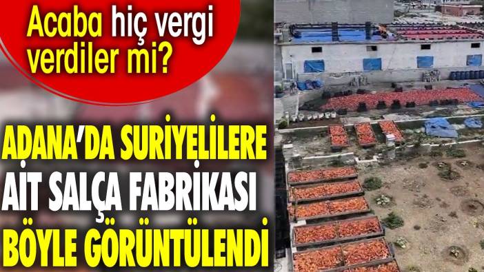 Adana'da Suriyelilere ait salça tesisi böyle görüntülendi. Acaba hiç vergi verdiler mi?