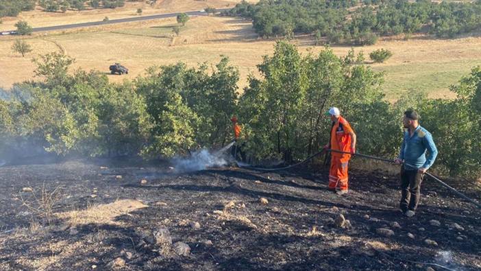 Bingöl'de çıkan orman ve örtü yangınları söndürüldü