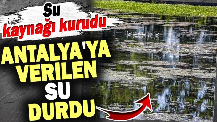 Kırkgöz kurudu şehre verilen su durdu. Antalya'nın önemli su kaynaklarındandı