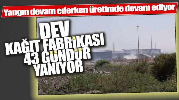 Dev kağıt fabrikası 43 gündür yanıyor. Yangın devam ederken üretimde devam ediyor