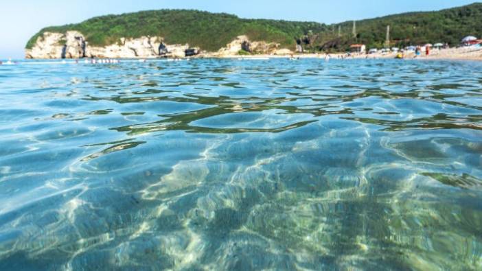 İstanbul'a yakınlar üstelik de sudan ucuzlar. Deniz keyfi yapılacak en güzel sahiller