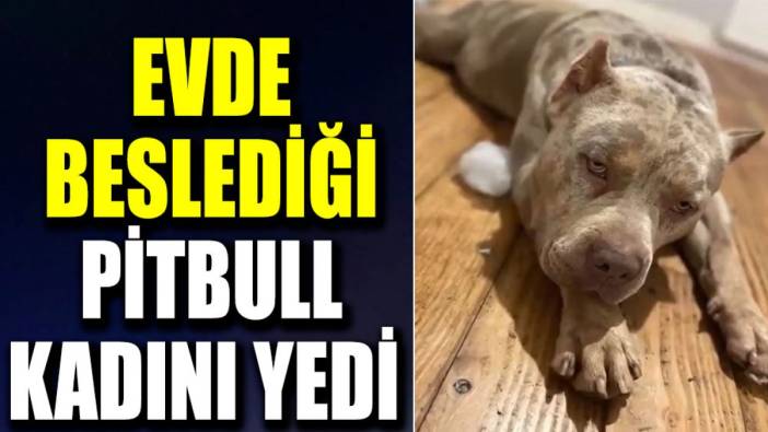 Evde beslediği Pitbull kadını yedi