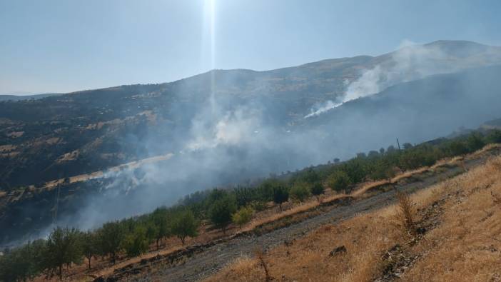 Malatya'daki yangın ormana sıçradı