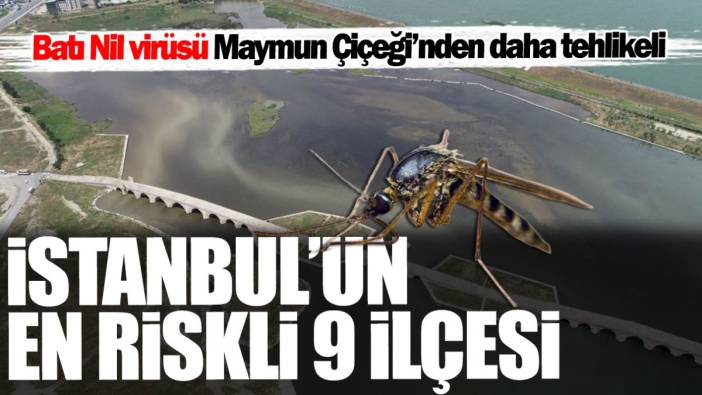 İstanbul’un en riskli 9 ilçesi! Batı Nil virüsü Maymun Çiçeği’nden daha tehlikeli