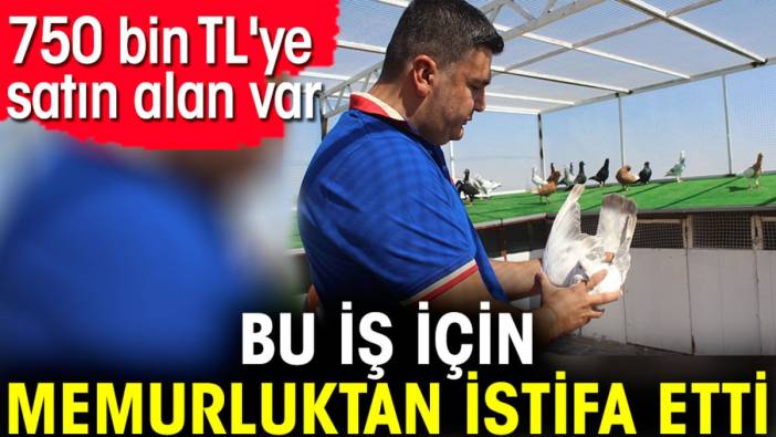 Bu iş için memurluktan istifa etti. 750 bin TL'ye satın alan var