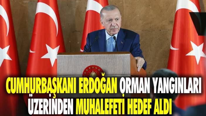 Cumhurbaşkanı Erdoğan orman yangınları üzerinden muhalefeti hedef aldı