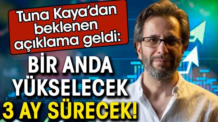 Tuna Kaya'dan beklenen açıklama geldi. Bir anda yükselecek 3 ay sürecek