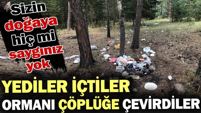 Yediler içtiler ormanı çöplüğe çevirdiler! Sizin doğaya hiç mi saygınız yok