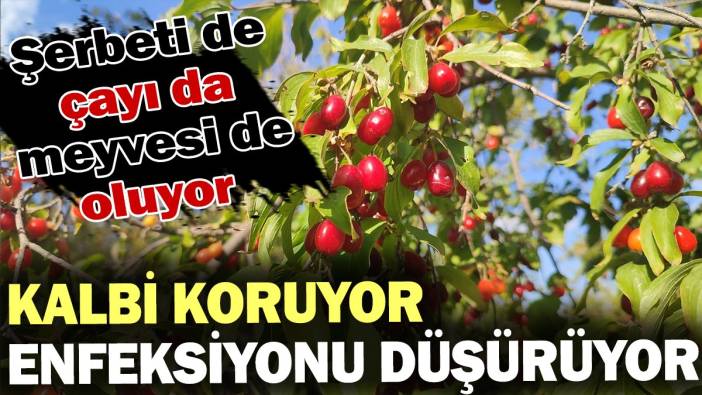 Kalbi koruyor, enfeksiyonu düşürüyor! Mucizevi meyve her yere iyi geliyor