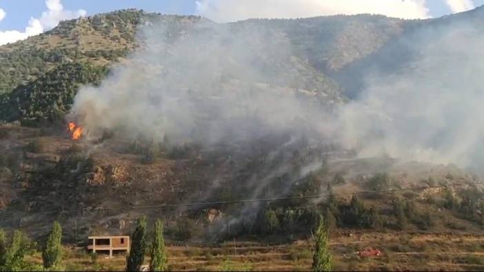 Erzurum'da orman yangını