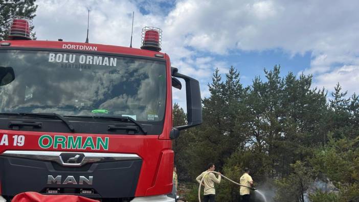 Bolu'da orman yangını