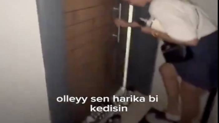 Sahibi anahtarı unuttu kapıyı kedi açtı