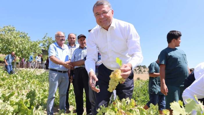 Kilosu 30 liradan gidiyor! Hasadı başladı...