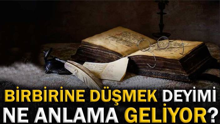 Birbirine düşmek deyimi ne anlama geliyor?