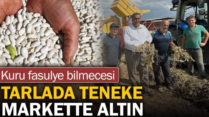 Tarlada teneke markette altın. Bu da kuru fasulye bilmecesi