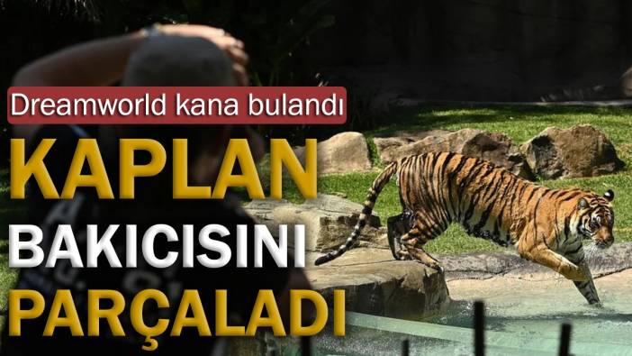 Kaplan, bakıcısını parçaladı. Dreamworld kana bulandı