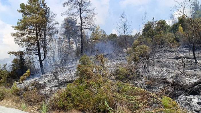 Antalya’da tarım arazisi yandı: 3 sera zarar gördü