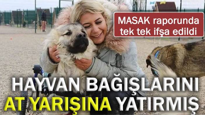 Hayvan bağışlarını at yarışına yatırmış! Masak raporunda tek tek ifşa edildi