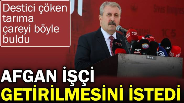 Destici çöken tarıma çareyi böyle buldu. Afgan işçi getirilmesini istedi