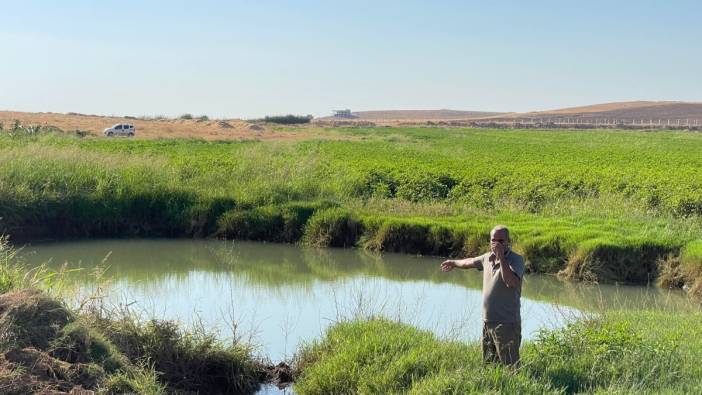 Harran Ovası’nda dev obruklar oluştu