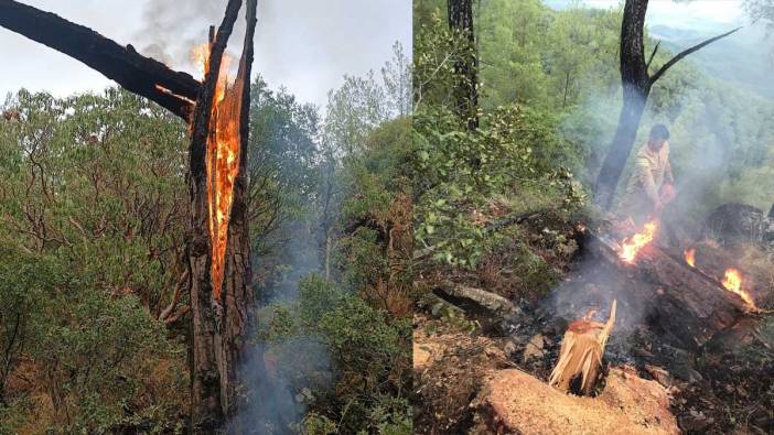 Muğla'da yıldırım alarmı: 50 yangın birden çıktı