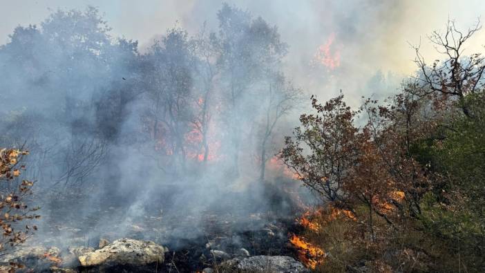 Bursa Sakarya sınırında orman yangını çıktı