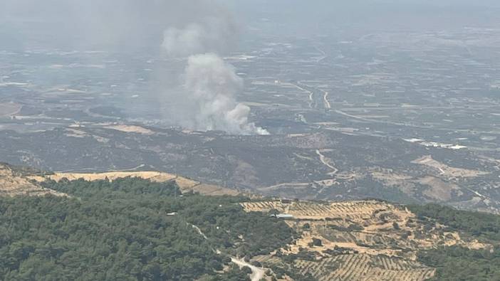 İzmir Menemen'de orman yangını