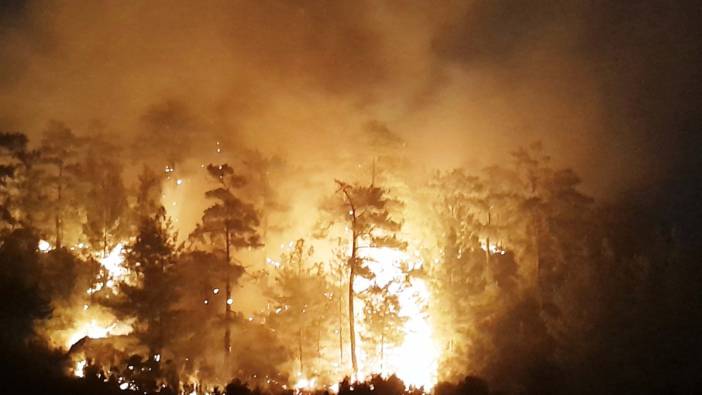 Muğla'da alevler geceyi aydınlattı