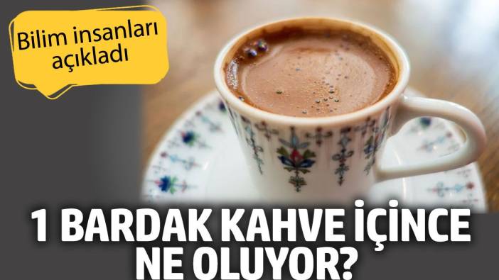 1 bardak kahve içince ne oluyor? Bilim insanları açıkladı