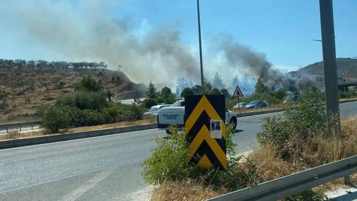 Milas'ta orman yangını çıktı