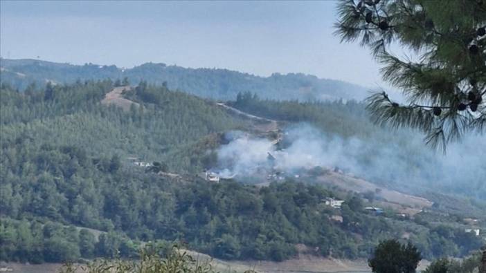 Adana'nın Sarıçam ilçesinde orman yangını