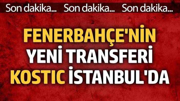 Fenerbahçe'nin yeni transferi Kostic İstanbul'da