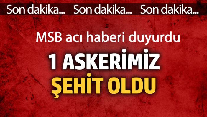 MSB acı haberi duyurdu! 1 askerimiz şehit oldu