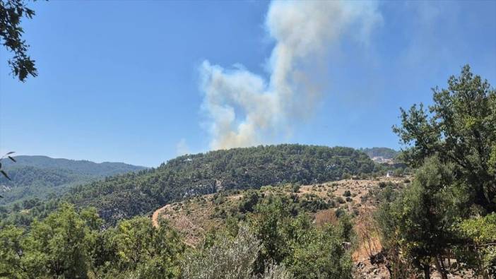 Antalya’da orman yangını ile ilgili gözaltına alınan zanlı adli kontrol şartıyla serbest bırakıldı