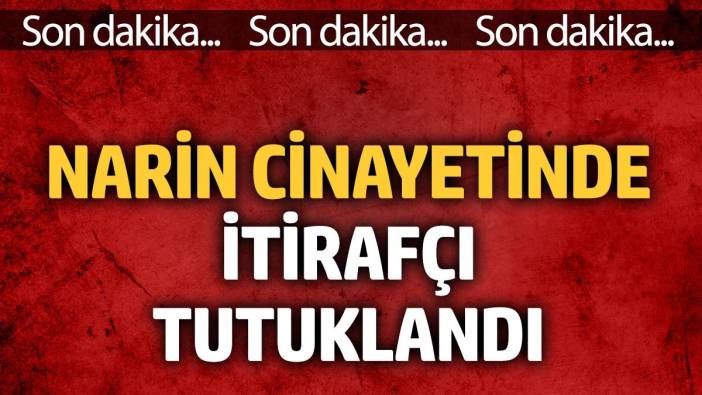 Narin cinayetinde itirafçı tutuklandı