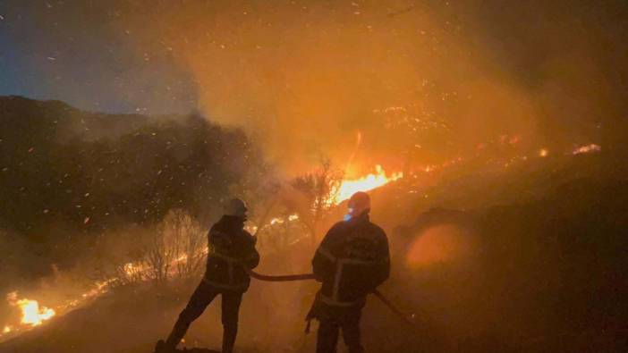 İzmir yangınını kimlerin çıkardığı ortaya çıktı. 5 gün boyunca yanmıştı